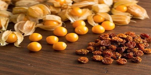 تصویر 2 از قیمت خرید میوه خشک فیسالیس + فروش ویژه